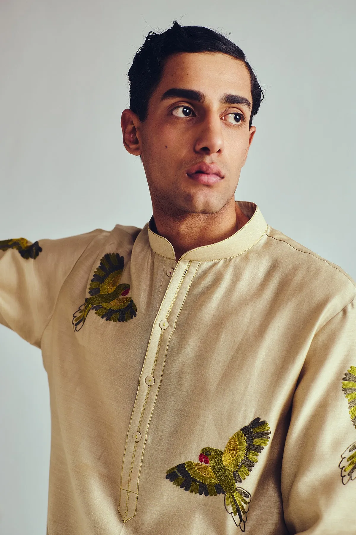 Aari Embroidered Beige Kurta Set