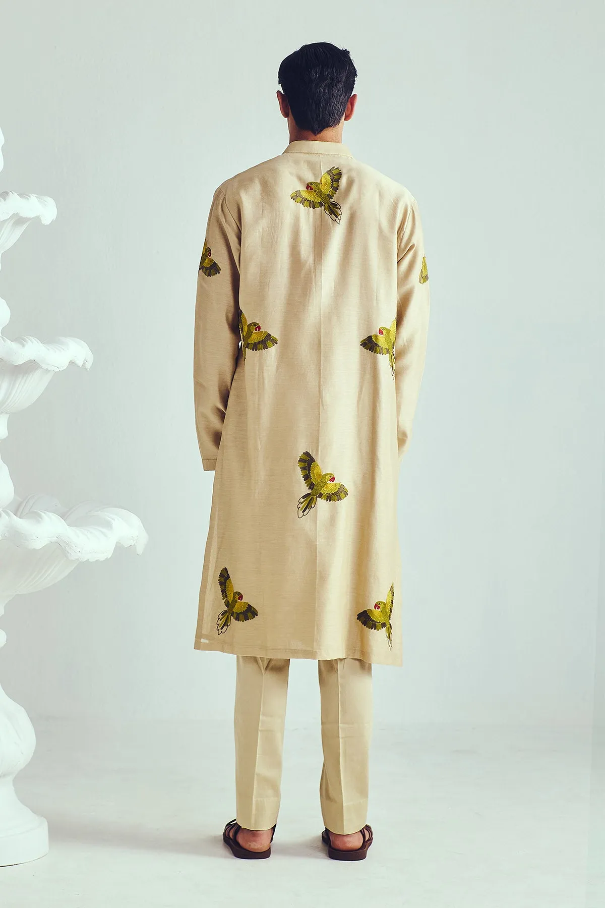 Aari Embroidered Beige Kurta Set