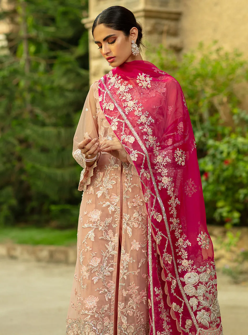 HASRAT | Zainab Chottani Wedding Festive Collection 2021 | Unstitched Embroidered Net and Organza Suits
