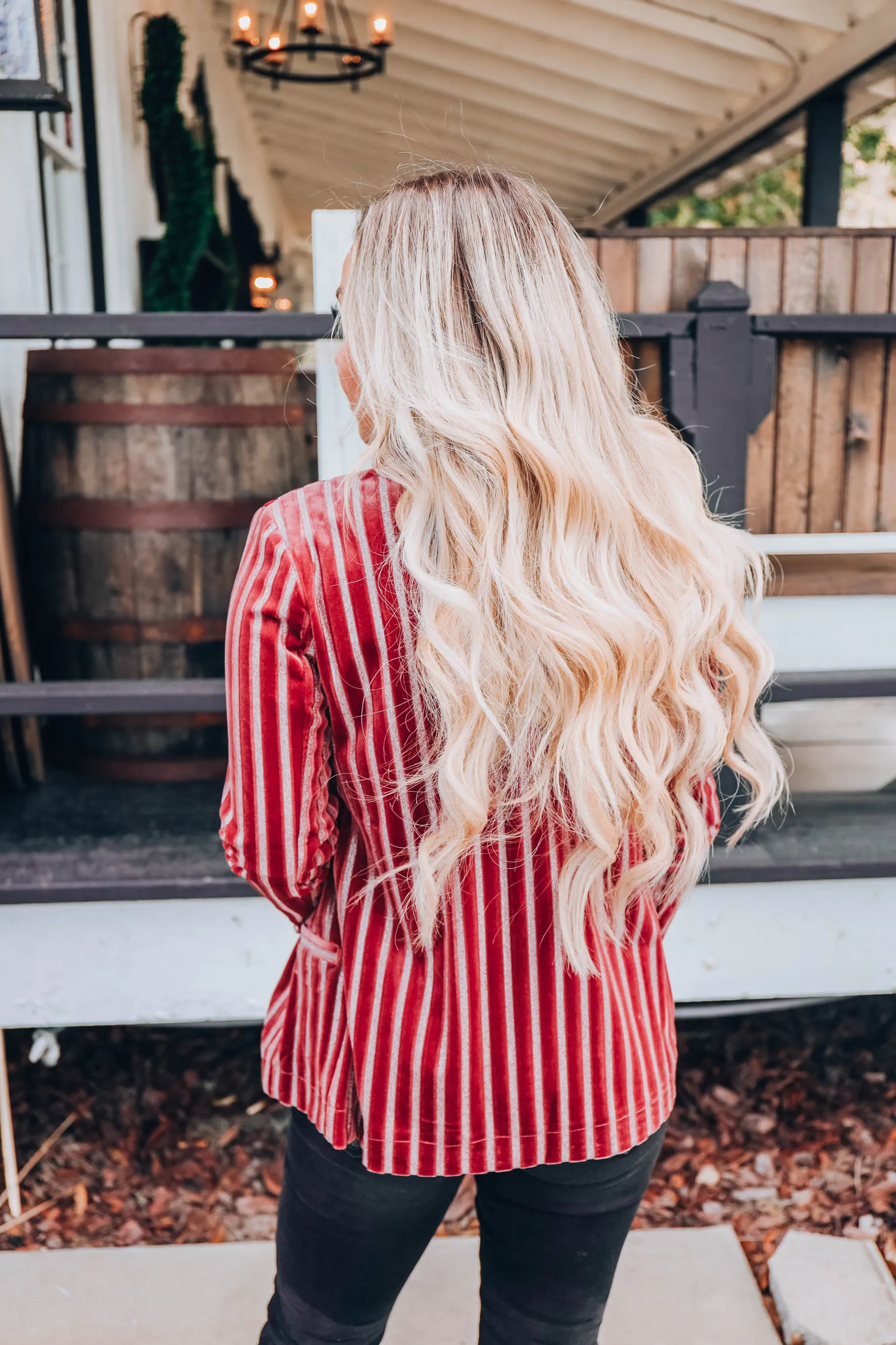 Vani Velvet Striped Blazer - Wine